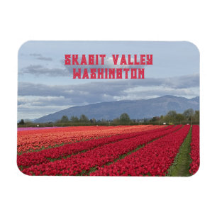 Ímã Campo de Tulipas do Vale de Skagit, Estado de Wash