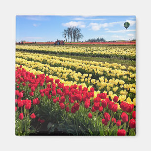 Imã Campo de Tulipas Vermelho e Amarelo com Balão de A