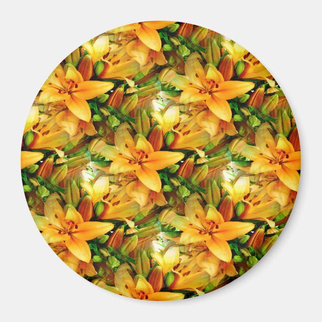 Imã Campo dos lírios...... (Frente)