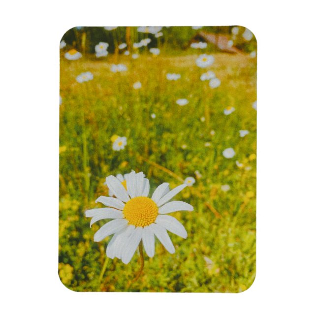 Ímã Campo escandinavo de verão florido (Vertical)