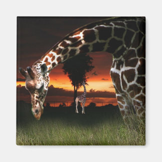 Imã Campo Escolar Africano