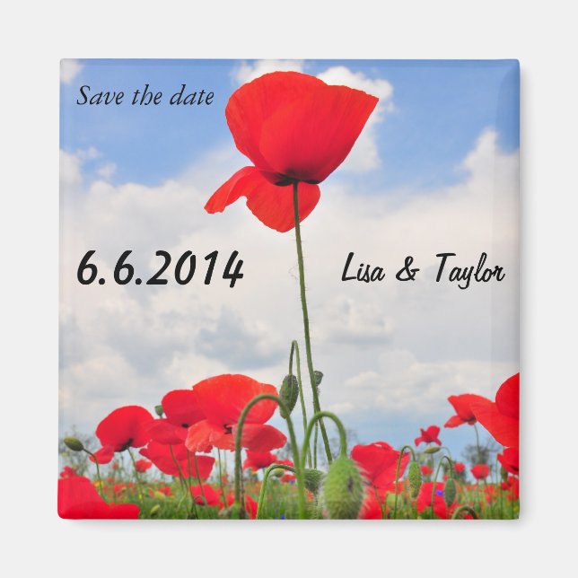 Imã Campo Poppies (Frente)