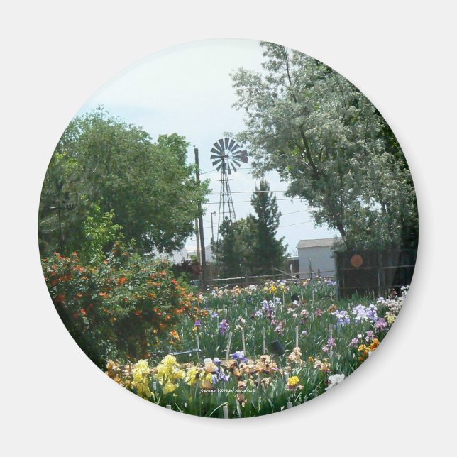 Imã Campo Windmill & Iris (Frente)