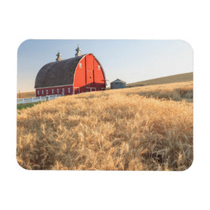 Ímã Campos de trigo de Verão perto de Sprague, Leste 1