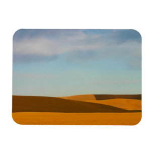 Ímã Campos de trigo dourados na região de Palouse