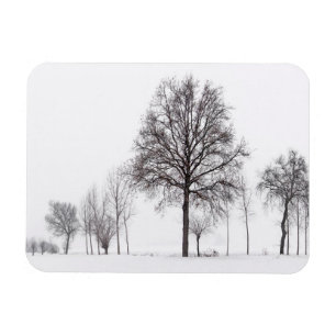 Ímã Campos em torno do Scalenghe Piemonte, Itália