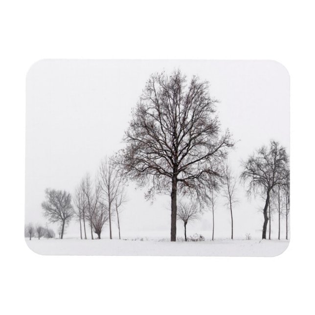 Ímã Campos em torno do Scalenghe | Piemonte, Itália (Horizontal)