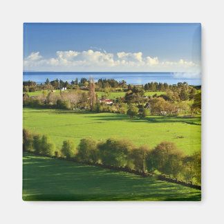 Imã Campos majestosos
