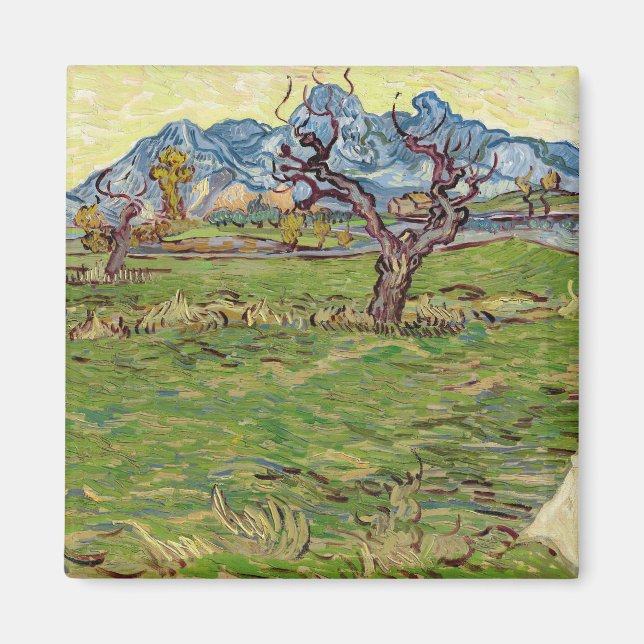 Imã Campos próximos aos Alpilles Vincent van Gogh (Frente)