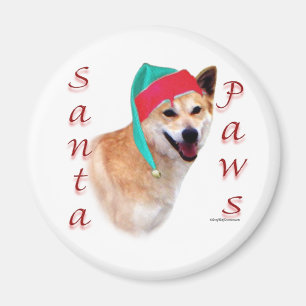 Imã Canaan Dog Papais noeis Paws