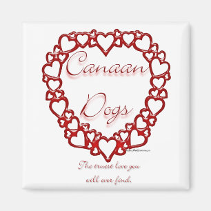 Imã Canaan Dog True Love