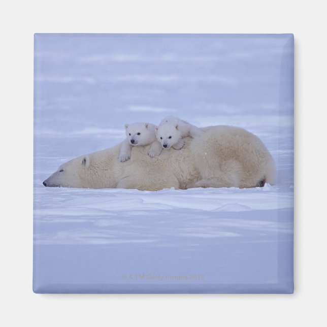 Imã Canadá (Frente)