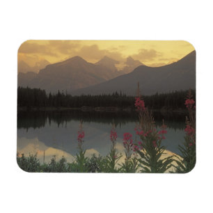 Ímã Canadá, Alberta, Banff. Cenário do nascer do sol d