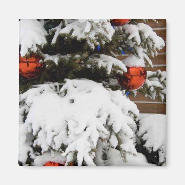 Imã Canadá, Alberta, Jasper, Jasper NP. Fairmont 2 (Frente)
