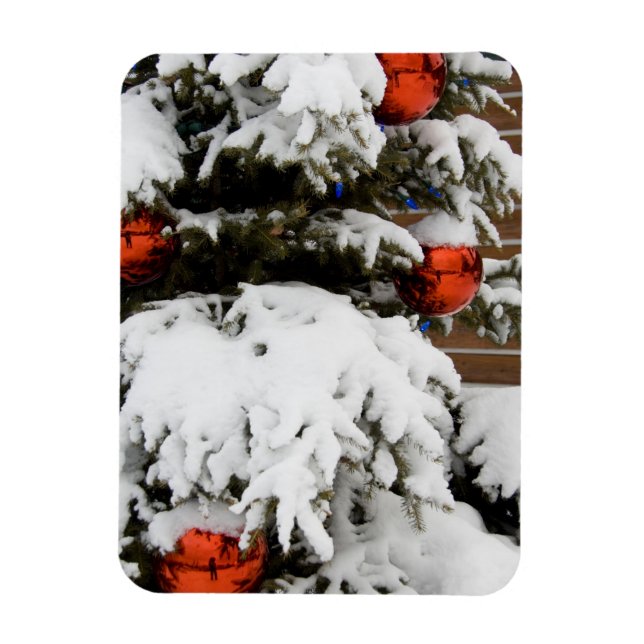 Ímã Canadá, Alberta, Jasper, Jasper NP. Fairmont 2 (Vertical)