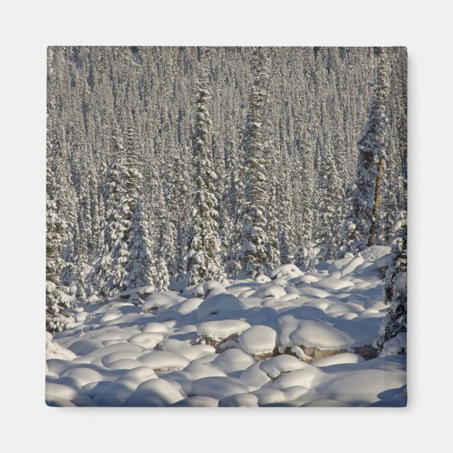 Imã Canadá, Alberta, Parque Nacional Jasper. (Frente)