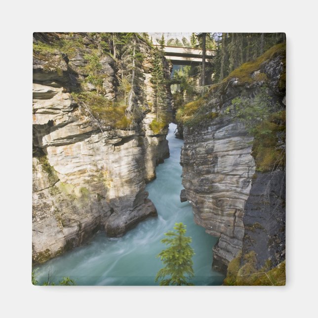 Imã Canadá, Alberta, Parque Nacional Jasper, Athabasca (Frente)