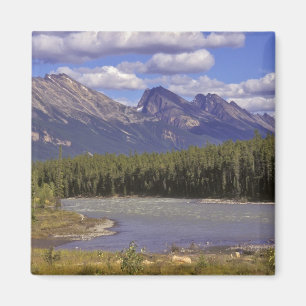 Imã Canadá, Alberta, Parque Nacional Jasper. Grande
