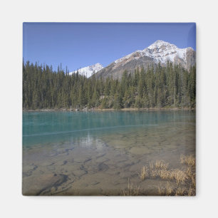Imã Canadá, Alberta, Parque Nacional Jasper: JASPER,