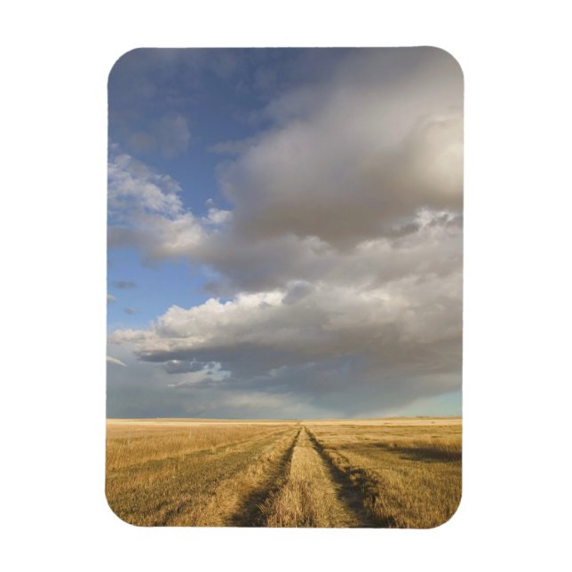 Ímã Canadá, Alberta, Stand Off: Paisagem com (Vertical)