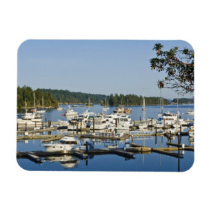 Ímã Canadá, BC, Ilhas do Golfo, Ilha Salt Spring,