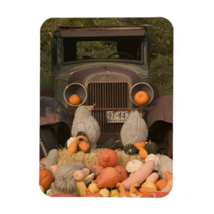 Ímã CANADÁ, British Columbia, Keremeos. Outono /