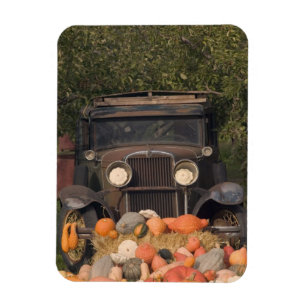 Ímã CANADÁ, British Columbia, Keremeos. Outono / 2