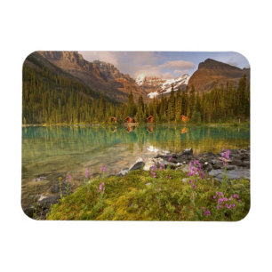 Ímã Canadá, Colúmbia Britânica, Parque Nacional Yoho.