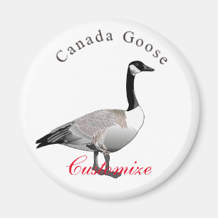 Imã Canadá Goose Gander Thunder_Cove