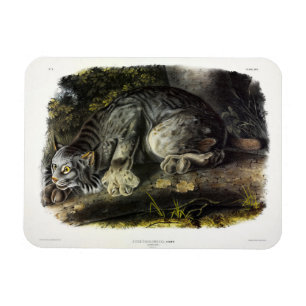 Ímã Canada Lynx (Lynx Canadensis) (Lynx canadense)