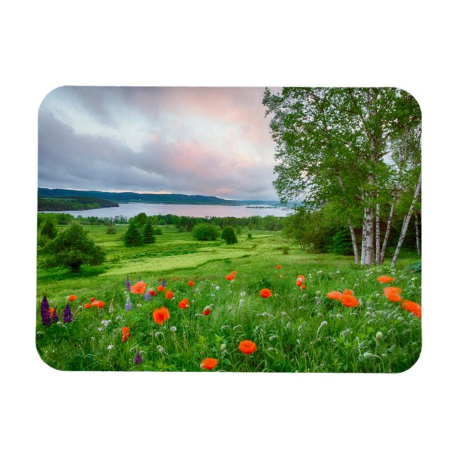 Ímã Canadá, New Brunswick, ,  3 (Horizontal)