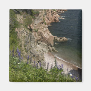Imã Canadá, Nova Escócia, Ilha do Cabo Breton, Cabot 3