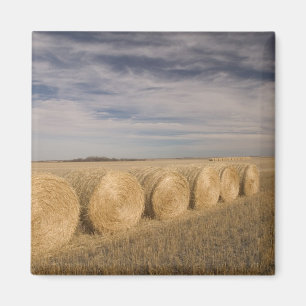 Imã Canadá, Saskatchewan, Craik: Fardos de feno / Outo