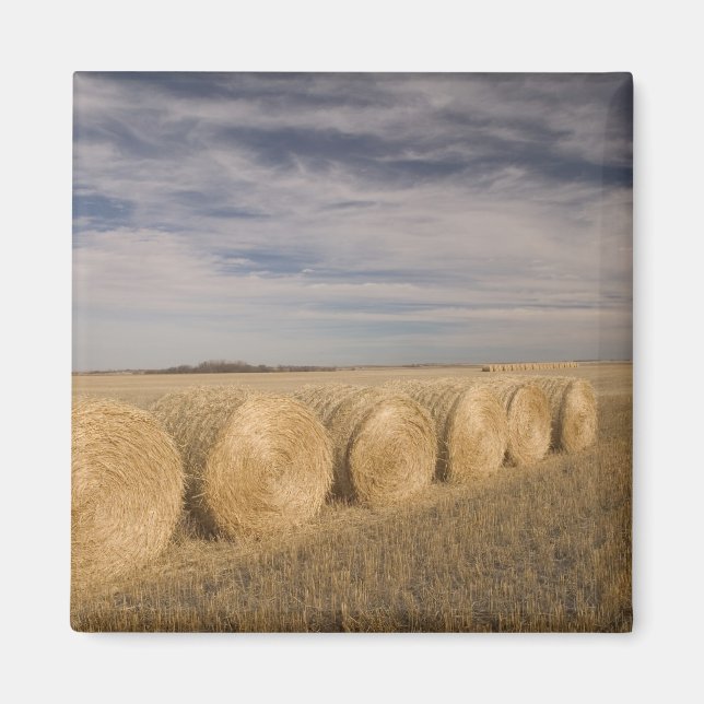 Imã Canadá, Saskatchewan, Craik: Fardos de feno / Outo (Frente)