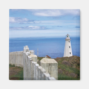 Imã Canadá, Terra Nova, Cape Spear Nacional 3