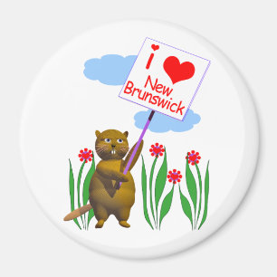 Imã Canadense Beaver ama New Brunswick