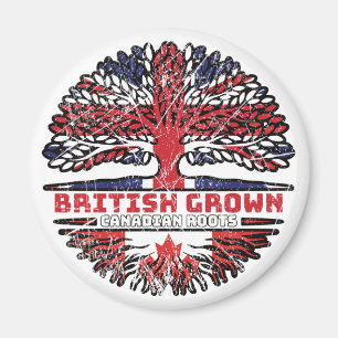 Imã Canadense Canada Uk Reino Unido British Tree