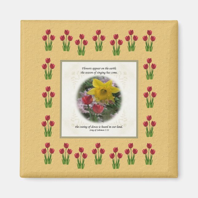 Imã Canção de Salomão 2:12 (Frente)