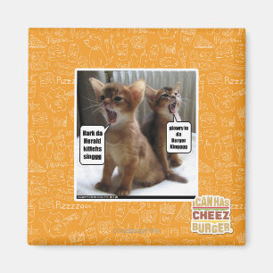 Imã Canções de natal de Kitteh