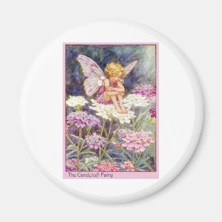 Imã Candytuft Fairy