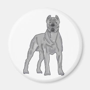 Imã Cane Corso