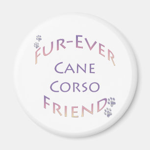 Imã Cane Corso Fuore