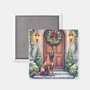 Imã Cane Corso Grande Porta Evergreen Arte de Natal