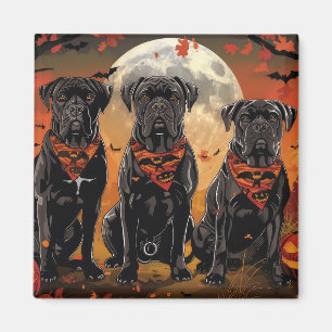 Imã Cane Corso Halloween Spooky