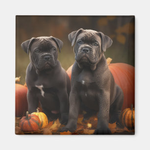 Imã Cane Corso Puppy Autumn Delight Pumpkin