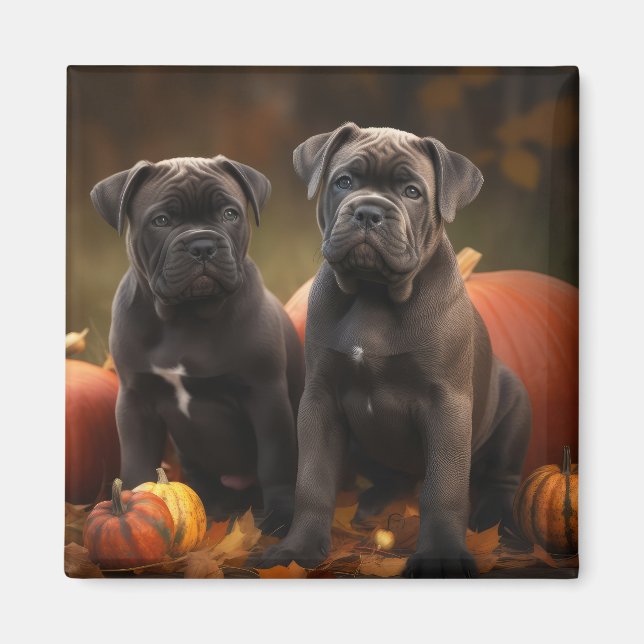 Imã Cane Corso Puppy Autumn Delight Pumpkin (Frente)