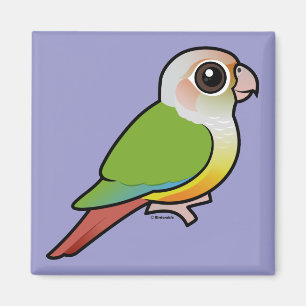 Imã Canela Conure Verde-cheeked de Birdorable