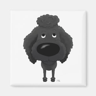 Imã Caniche grande do nariz
