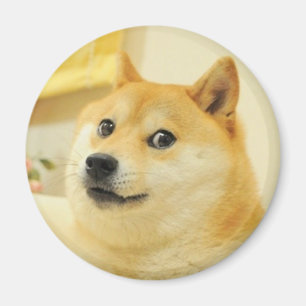 Imã Canina
