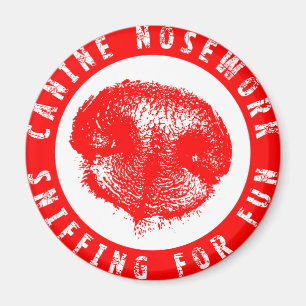 Imã Canine Nosework, Sniffing for Fun